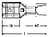 Zdjęcie dodatkowe