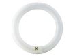 Świetlówka kołowa PHILIPS średnica 26mm MASTER TL-E Circular Super 80 40W/840 1CT